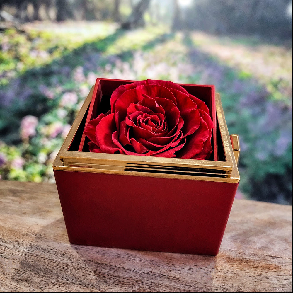 Love Knot Necklace for Mom with Rotating Rose Gift Box